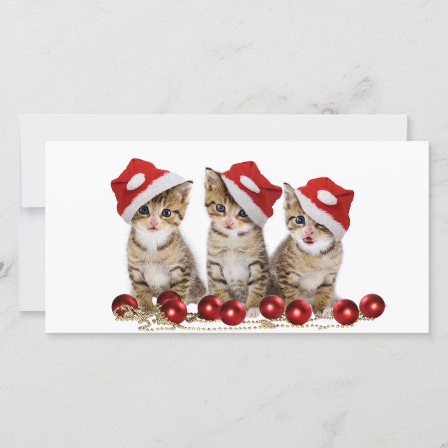 Cute Merry Christmas Kittens Holiday Card (Front)
