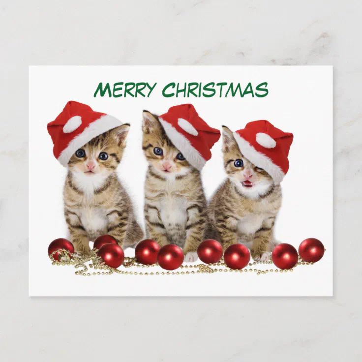 Cute Merry Christmas Kittens Holiday Postcard 