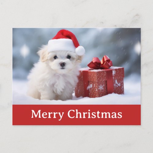 Cute Merry Christmas Puppy Dog Santa Hat Postcard