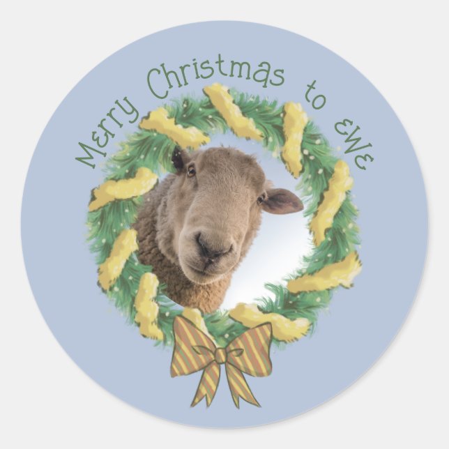 Cute Merry Christmas sheep photo  Classic Round Sticker (Front)