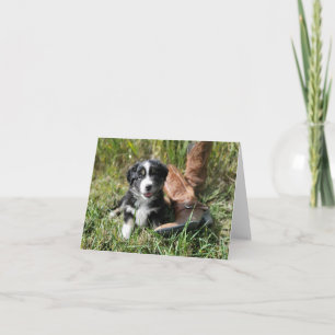 Cute Mini Aussie puppy with cowboy boots Note Card