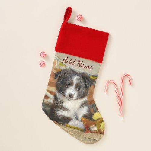 Cute Mini Aussie Shepherd Dog Bi_Color Puppy _ Christmas Stocking