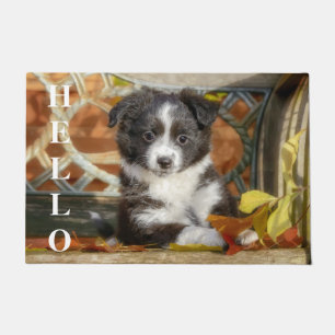 Cute Mini Aussie Shepherd Dog Bi-Color Puppy Doormat