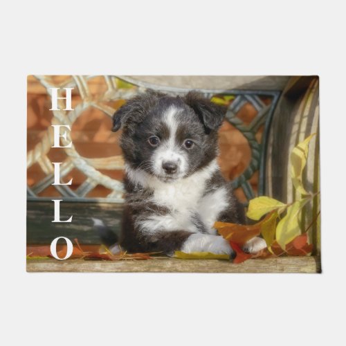 Cute Mini Aussie Shepherd Dog Bi_Color Puppy Doormat