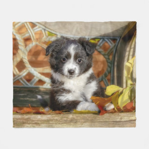 Cute Mini Aussie Shepherd Dog Bi-Color Puppy _ Fleece Blanket
