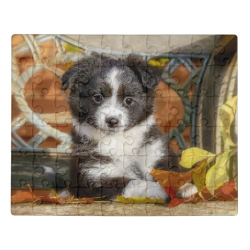 Cute Mini Aussie Shepherd Dog Bi_Color Puppy _ Jigsaw Puzzle