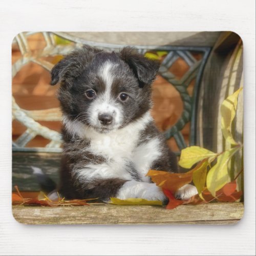 Cute Mini Aussie Shepherd Dog Bi_Color Puppy Mouse Pad