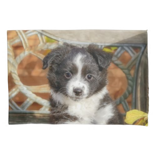 Cute Mini Aussie Shepherd Dog Bi_Color Puppy _ Pillow Case