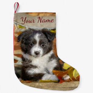 Cute Mini Aussie Shepherd Dog Bi-Color Puppy - Small Christmas Stocking