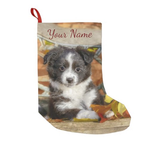 Cute Mini Aussie Shepherd Dog Bi_Color Puppy _ Small Christmas Stocking
