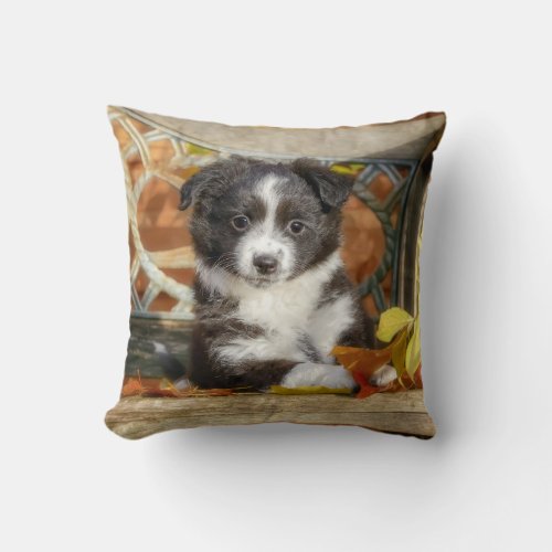 Cute Mini Aussie Shepherd Dog Bi_Color Puppy _ Throw Pillow