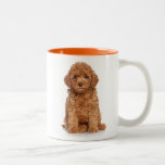 Cute Mini Golden Doodle Two-tone Coffee Mug at Zazzle