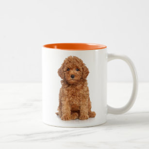 Cute Mini Golden Doodle Two-Tone Coffee Mug
