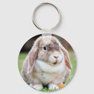 Cute Mini Holland Lop Bunny Rabbit Keychain