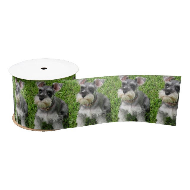 Cute Mini Schnauzer on Grass Spool of Ribbon (Spool)