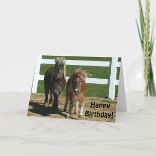 Cute Miniature Horse Birthday Card