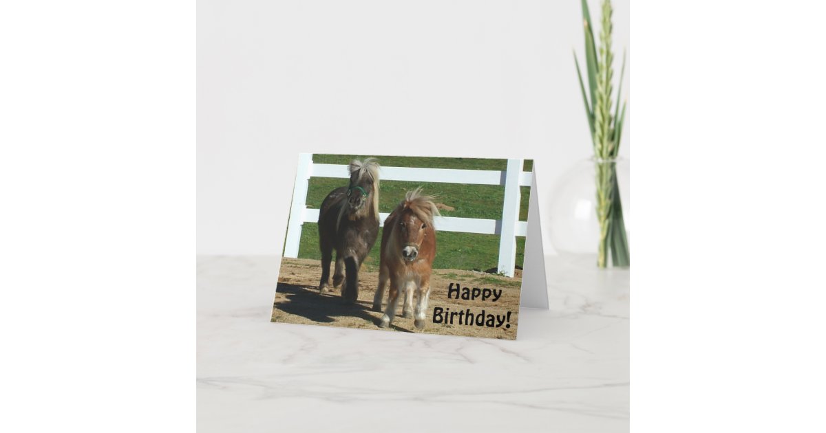 Cute Miniature Horse Birthday Card | Zazzle