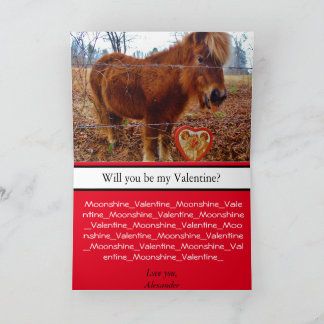 Cute Miniature Horse Valentine Pony and Heart Card