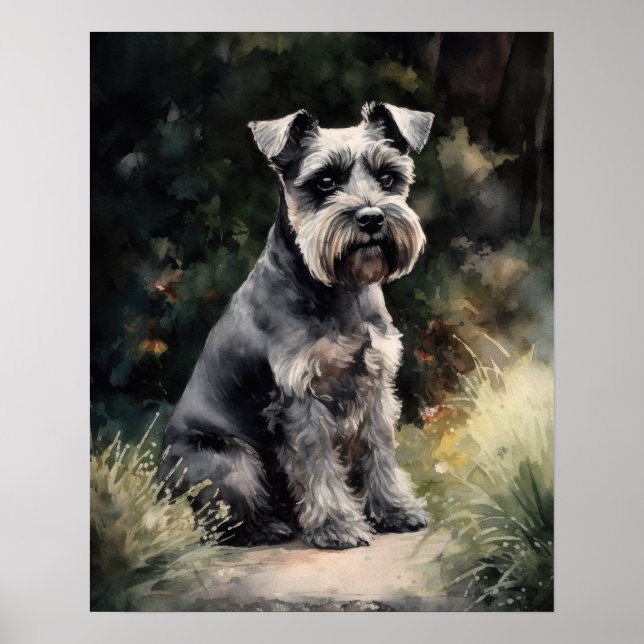 Cute Miniature Schnauzer Dog Art Print Poster (Front)