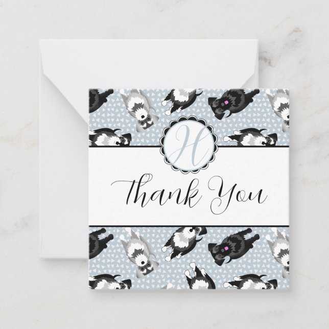 Cute Miniature Schnauzers Thank You Note Card (Front)