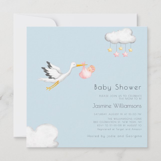 Cute minimal stork girly baby shower  invitation (Front)