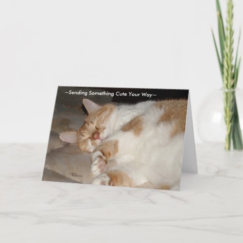 Cute miss and love you Cat Greeting Card