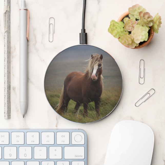 Cute Modern Custom Pet Horse Photo Wireless Charger (Desk)