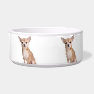 Cute Modern Dog Chihuahua Pattern White Bowl