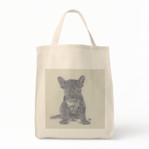 Cute Modern French Bulldog Distressed Photo