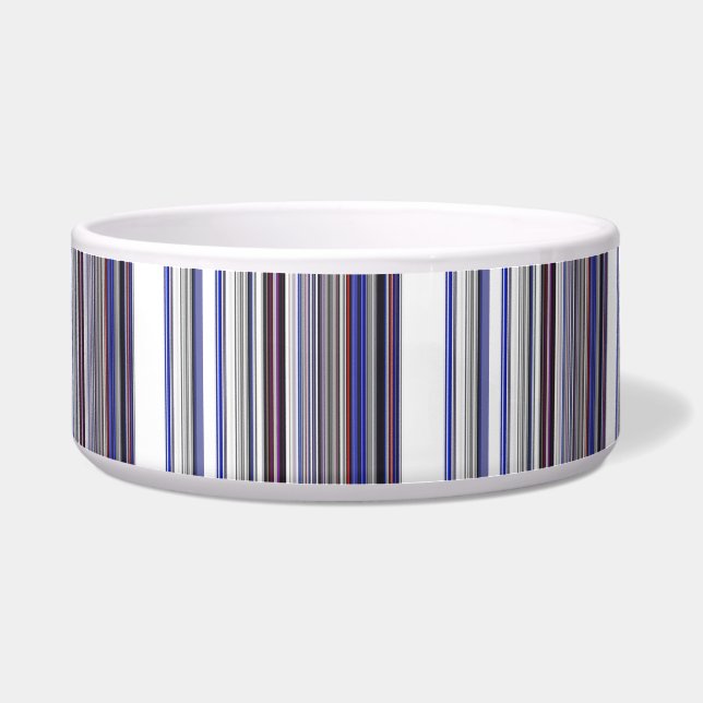 Cute modern gray blue stripes bowl (Front)