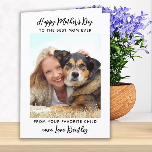 Cute Modern Pet Mom Mothers Day Custom Photo Holiday Card