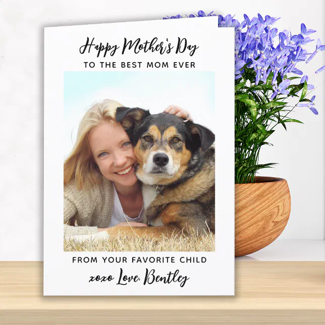 Cute Modern Pet Mom Mother's Day Custom Photo Holiday Card | Zazzle