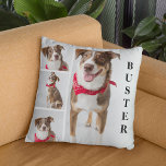 Cute Modern Pet Photo Collage & Name Throw Pillow<br><div class="desc">Brighten up your home with this sytlish modern pet collage pillow. Featuring 4 photographs of your dog,  cat,  rabbit or horse! Add their name for extra personalization. On the reverse is a block color that can be changed to any color to match your decor.</div>