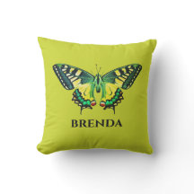 Cute Modern Photography Butterfly Green