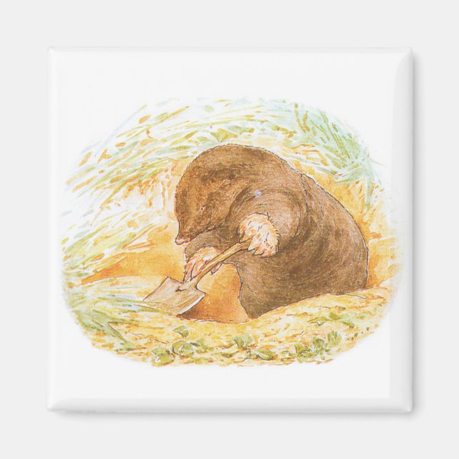 Cute Mole (Animal Art for Kids) (Beatrix Potter) Magnet (Front)