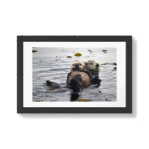 Cute Mom and Pup Sea Otters