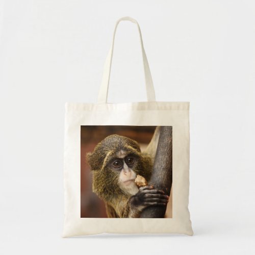 Cute Monkey Bag