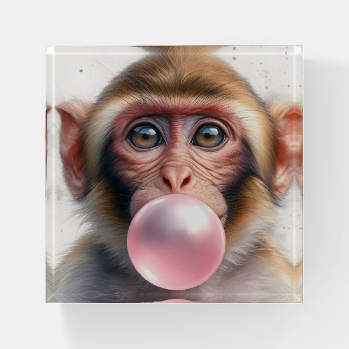 Cute Monkey Blowing Bubbles Bubble Gum  Paperweight