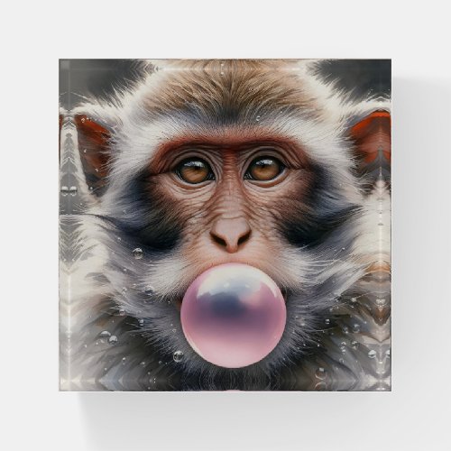 Cute Monkey Blowing Bubbles Bubble Gum  Paperweight