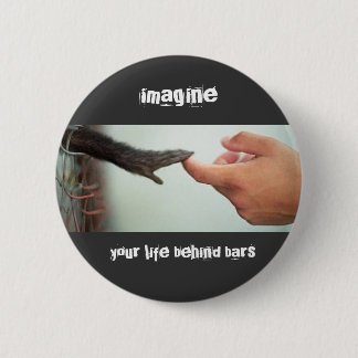 cute monkey, imagine , your life behind bars pinback button