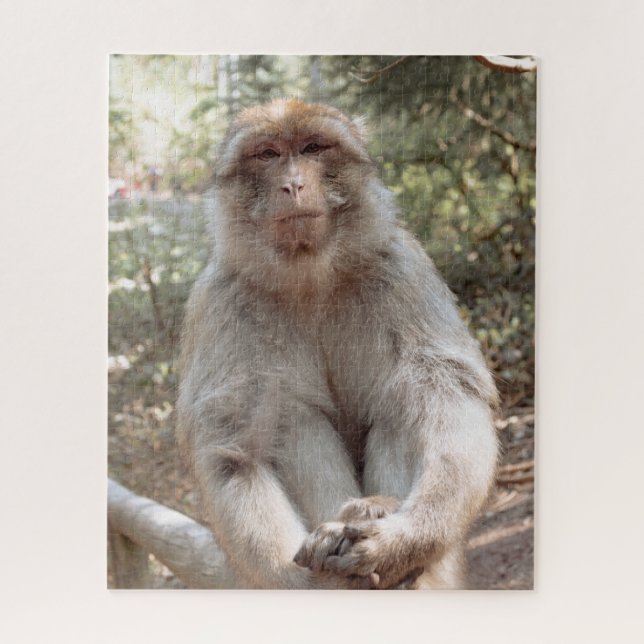 Cute monkey jigsaw puzzle (Vertical)