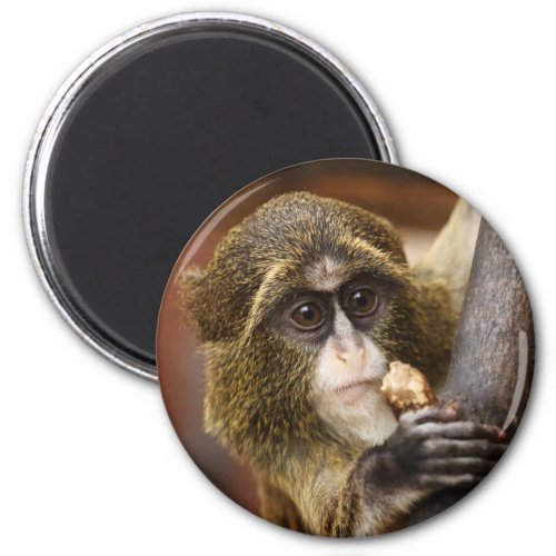 Cute Monkey Magnet