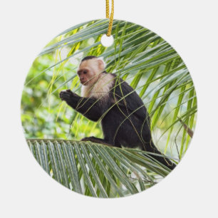 Cute Monkey on a Palm Tree Ceramic Ornament