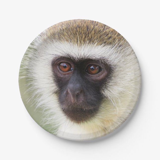 Cute monkey portrait paper plates (Front)