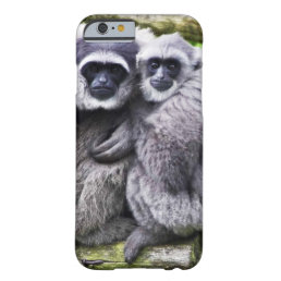 Cute Monkeys hugging graphic on a Barely There iPhone 6 Case
