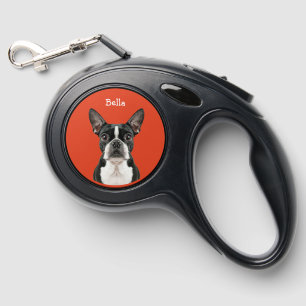 Cute Monogram Boston Terrier Dog Leashes