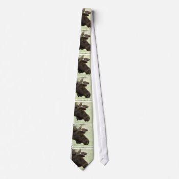 Cute Moose Neck Tie by WildlifeAnimals at Zazzle