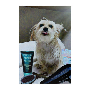 Cute Morkie Puppy Dog Funny 24"x 36" Acrylic Print