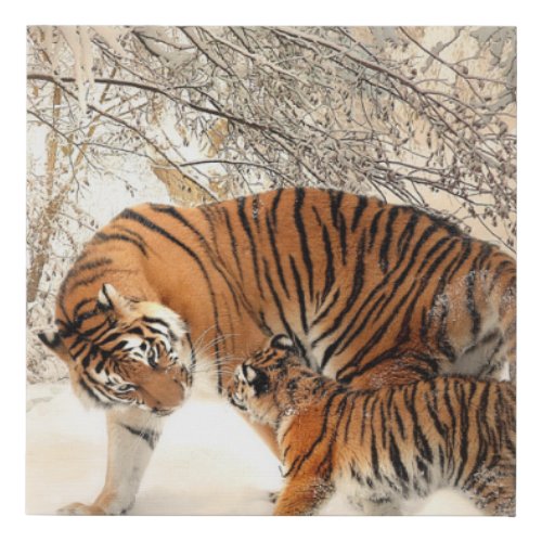 Cute Mother Tiger with Baby in Snow Faux Canvas Print