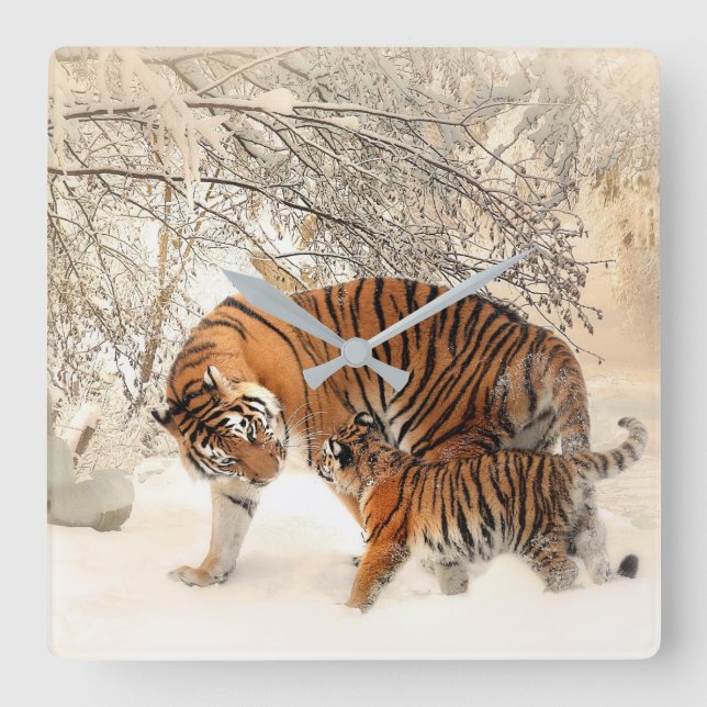 Cute Mother Tiger with Baby in Snow Square Wall Clock (Front)